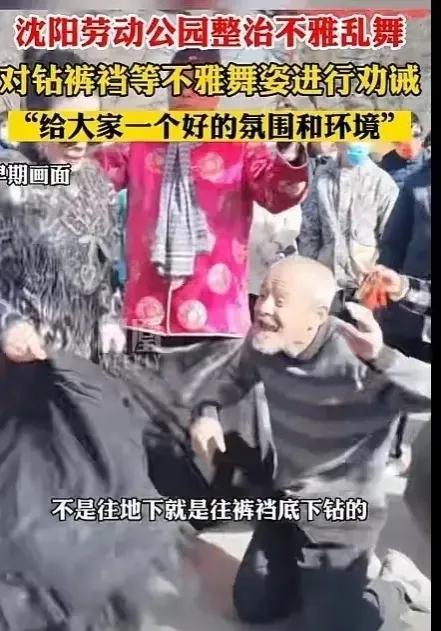 沈阳一公园整治钻裤裆等不雅舞姿 为博眼球“群魔乱舞”